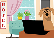 ペットホテル・ペットシッター/boarding/pet sitting services